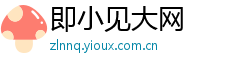 即小见大网